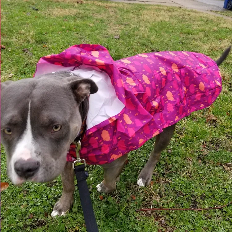 Packable Rain Poncho