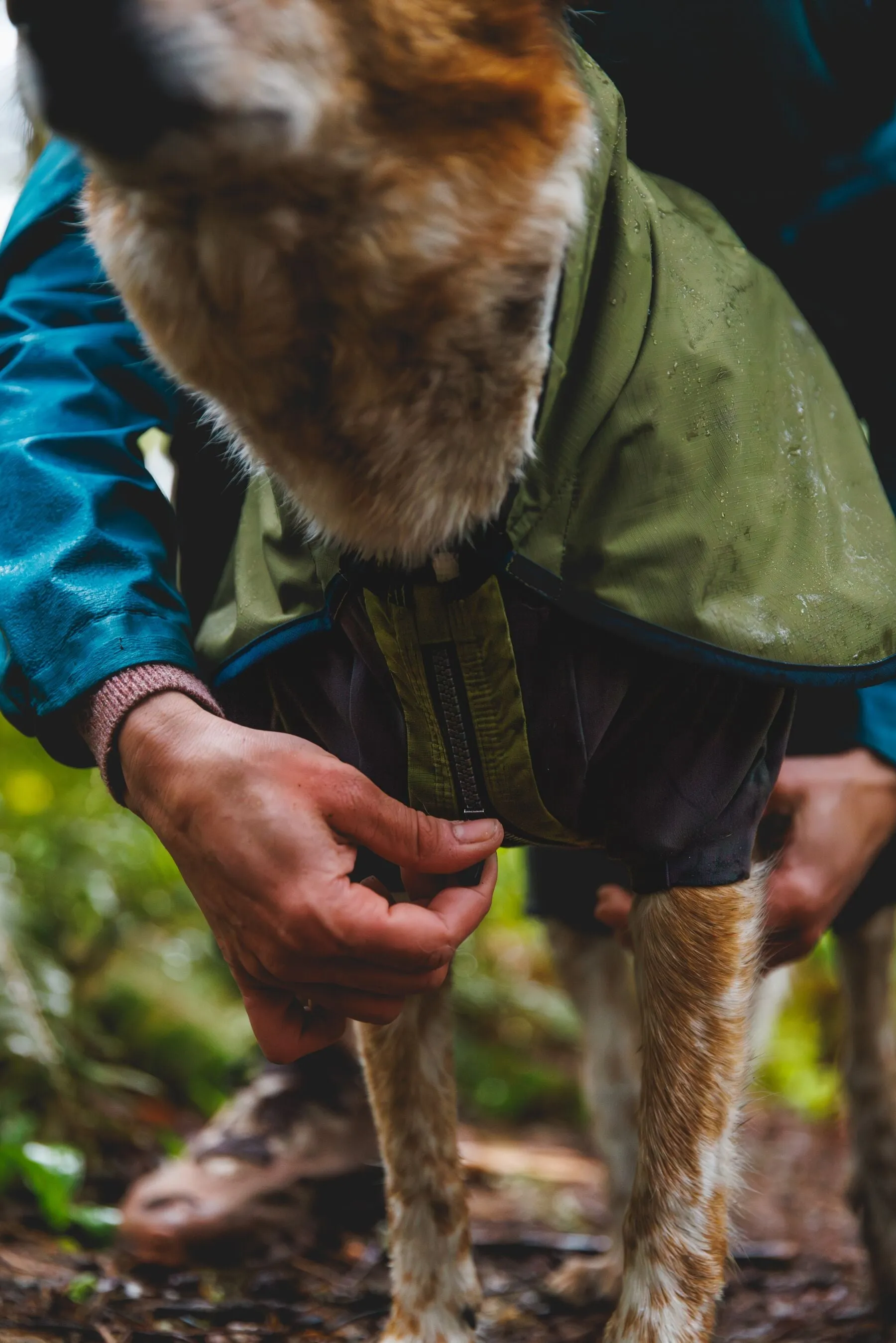 Ruffwear Sun Shower Coverall Dog Jacket