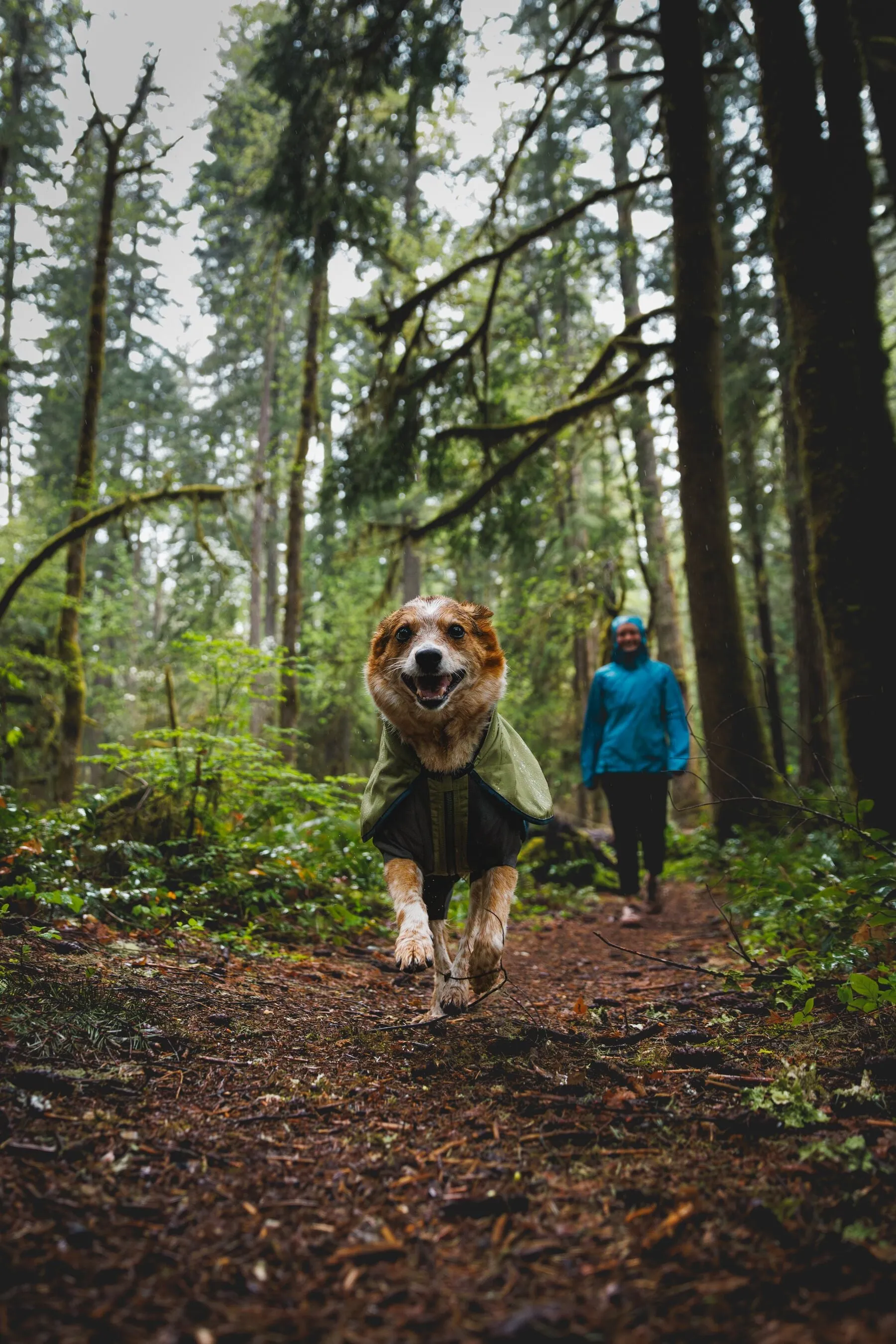 Ruffwear Sun Shower Coverall Dog Jacket